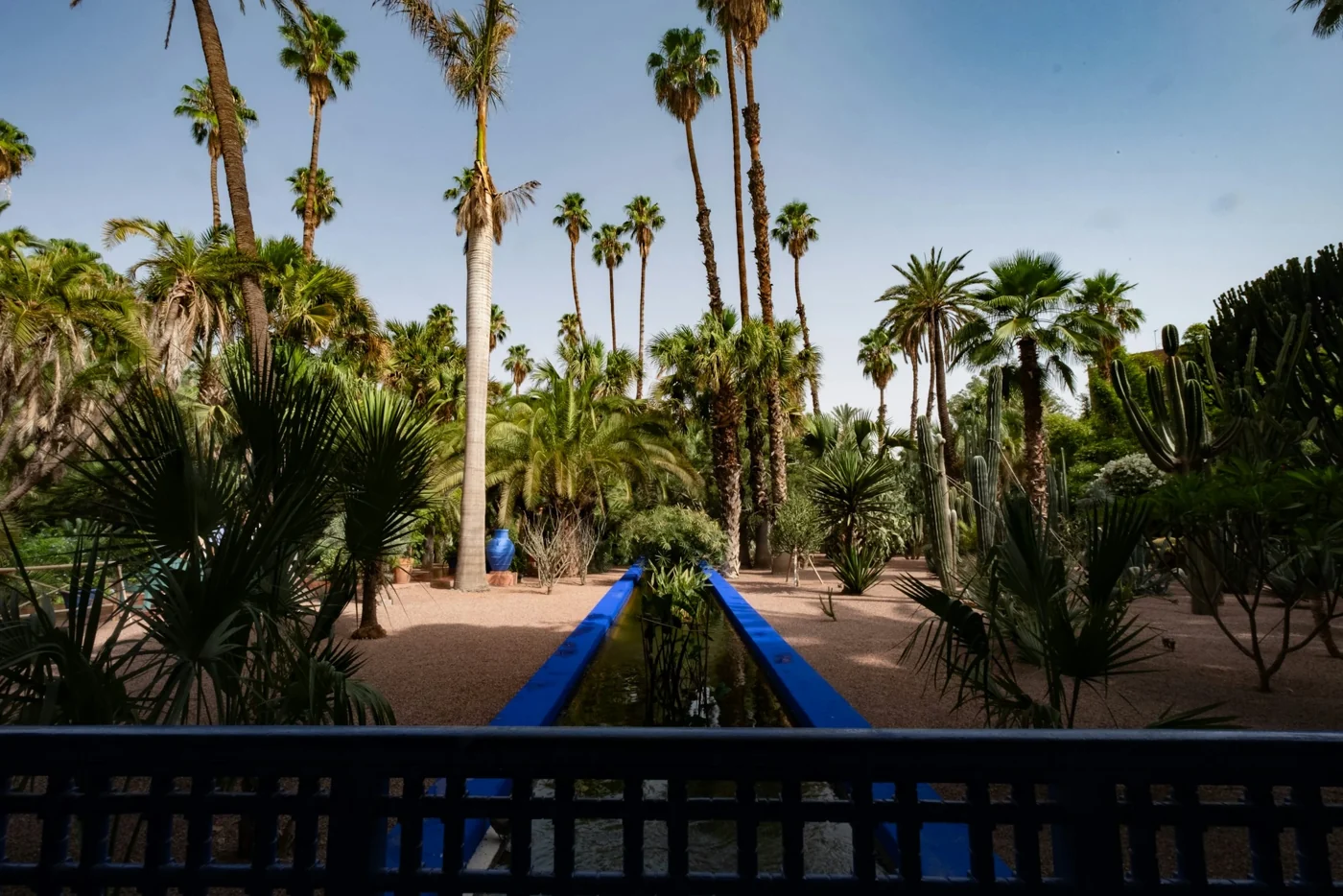 Blue water feature framed by palms in Marrakech’s Majorelle Garden