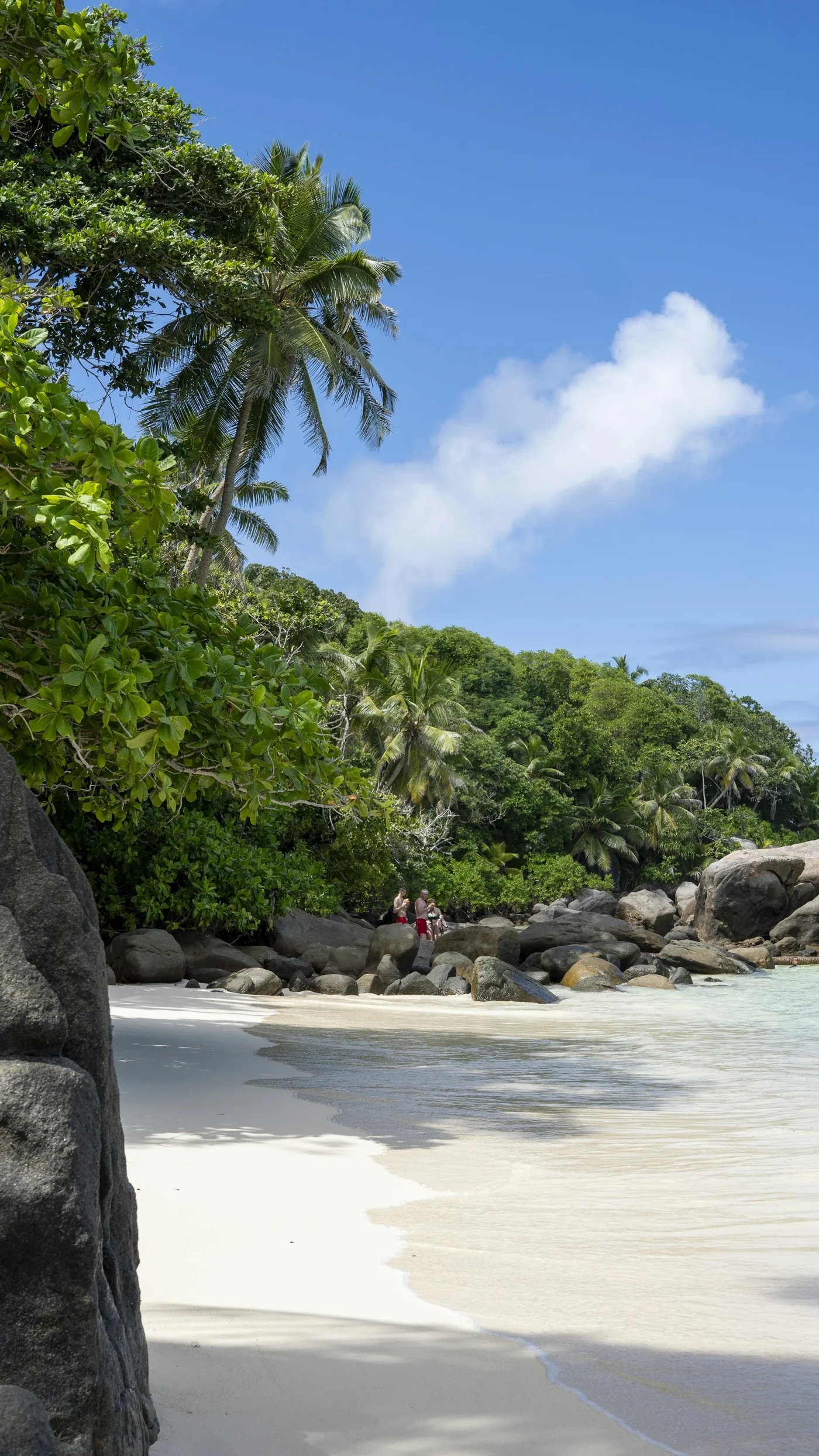 Tropical beach on Mahé with granite rocks and lush palms