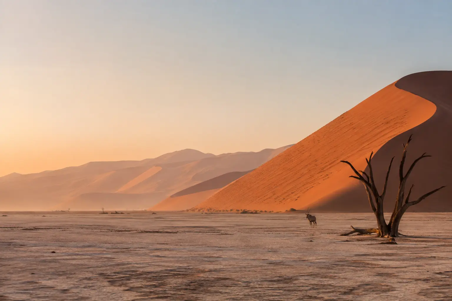Namib dunes and an oryx at first light
